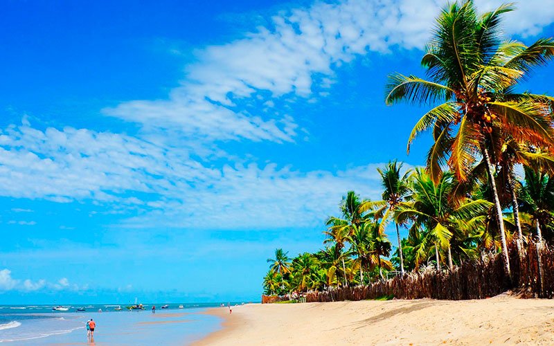 Desentupidora em Trancoso, BA